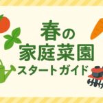 春の家庭菜園スタートガイド